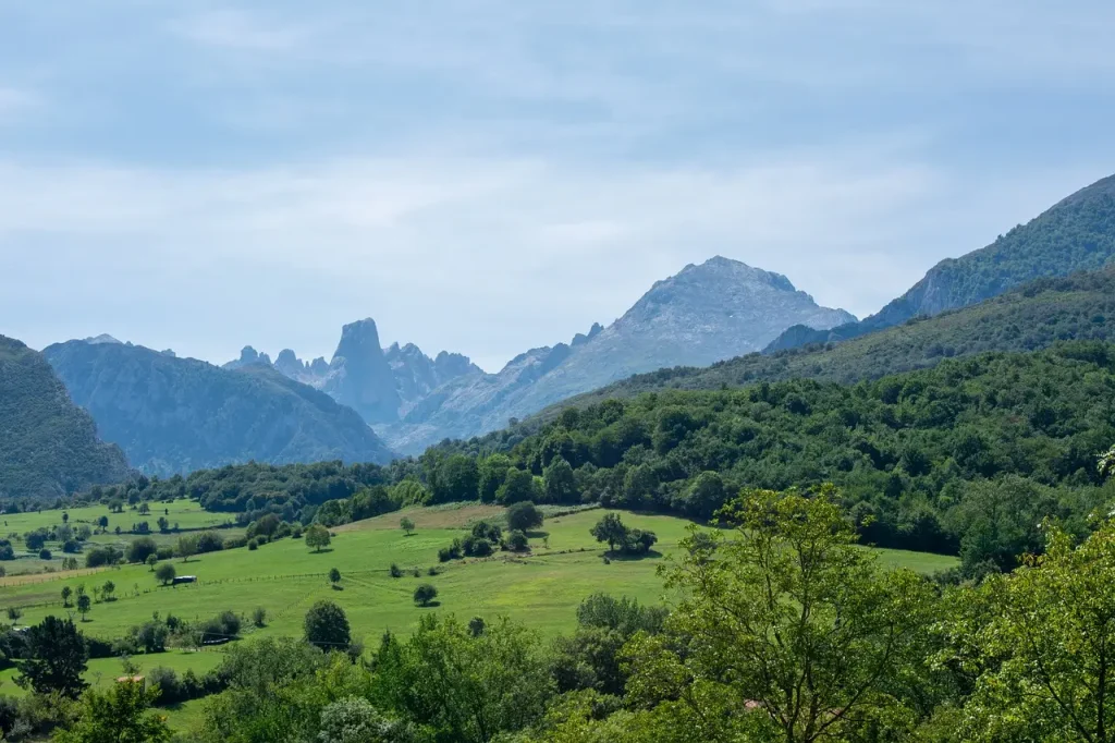 Bulnes