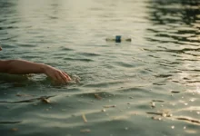 Bras d'un nageur entrant dans les eaux verdâtres de la Seine sous une lumière naturelle d'été